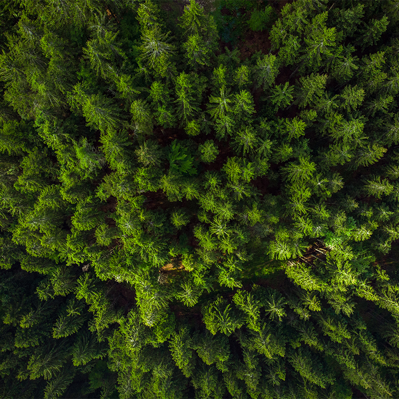 Watan Gartenservice Höpfingen