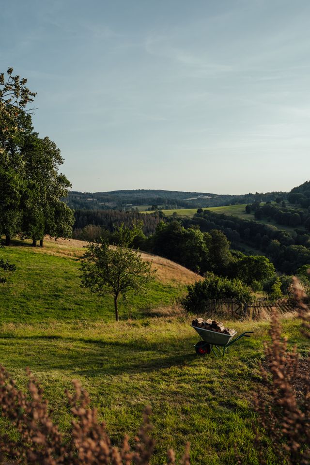 Garten- und Grundstückspflege durch Watan Gartenservice in Höpfingen und Umgebung