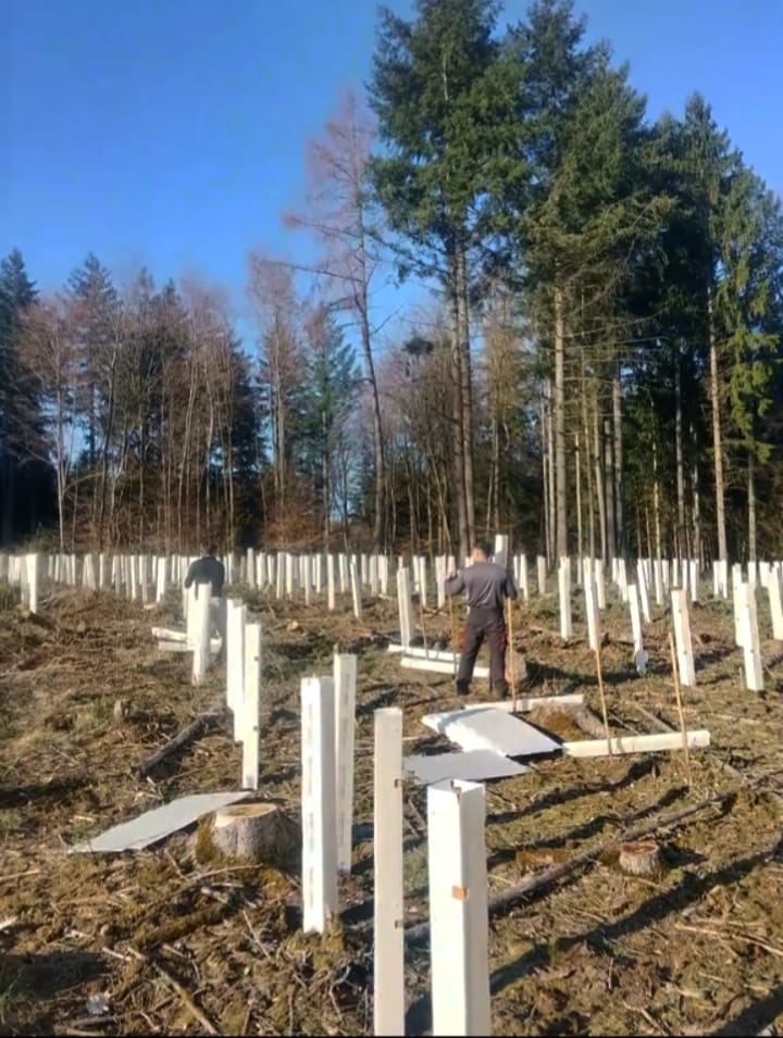 Baum- und Forstarbeiten durch Watan Gartenservice auf einem Grundstück bei Höpfingen