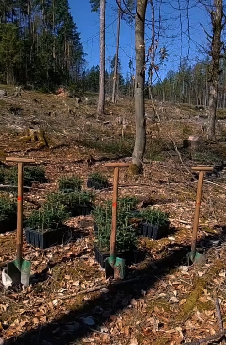 Forst- und Baumarbeiten durch Watan Gartenservice