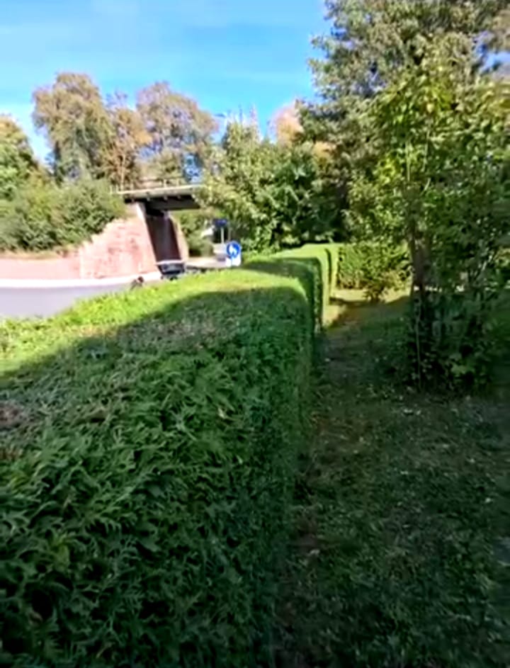 Professioneller Heckenschnitt auf einem Grundstück bei Höpfingen