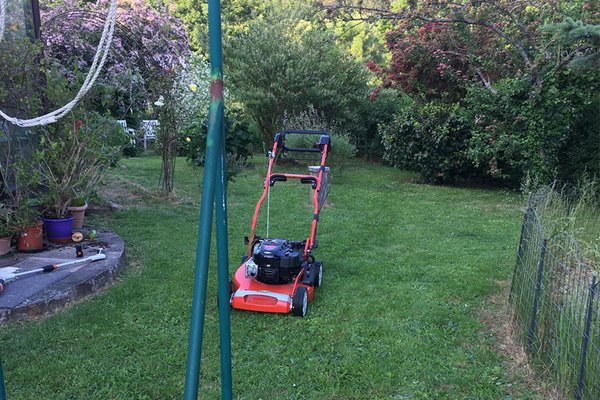 Gartenpflege auf einem gepflegten Grundstück in Höpfingen und Umgebung