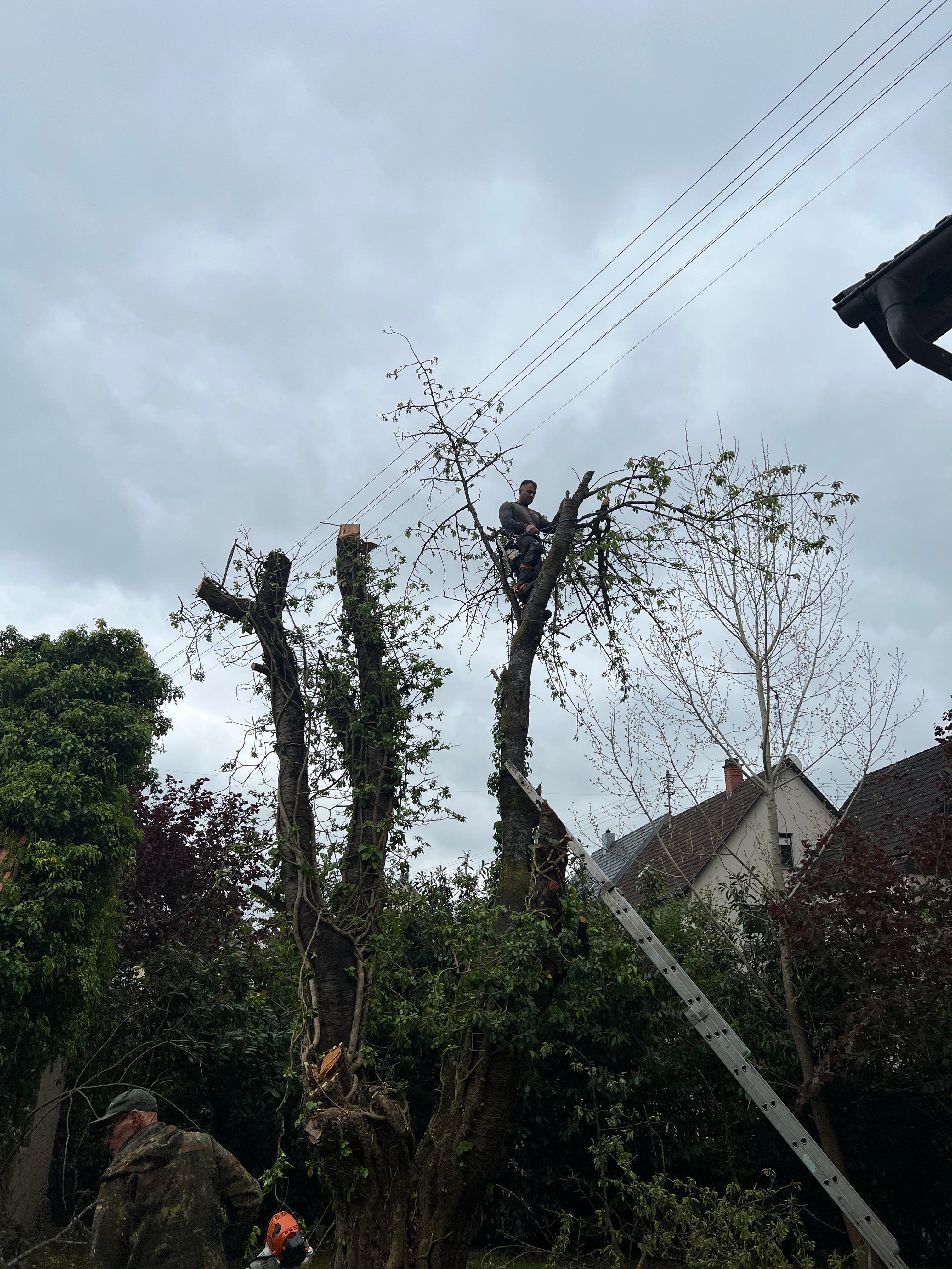 Garten- und Grundstücksarbeiten durch Watan Gartenservice in Hardheim